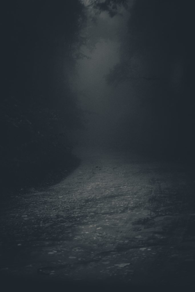 Photo of mysterious spooky lane in dark forest by Lucas Pezeta | Pexels