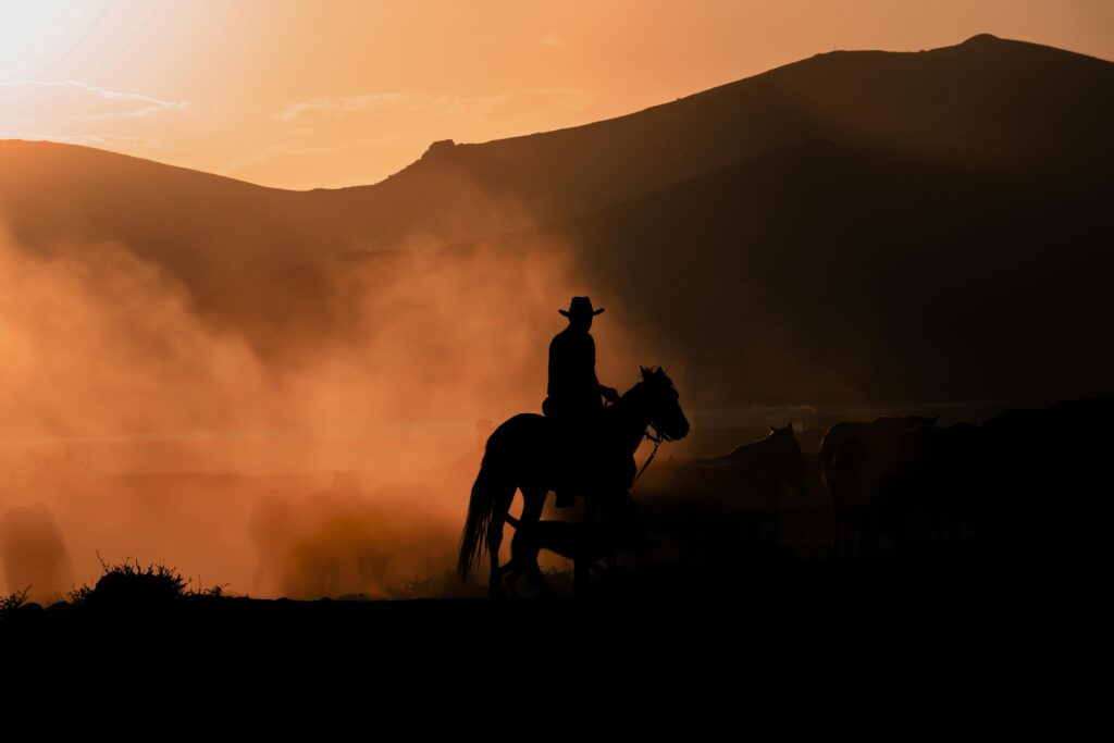 Photo of Silhouette of a Horseback Riding Man on a Pasture at Sunset by Muhammed uluçay | Pexels